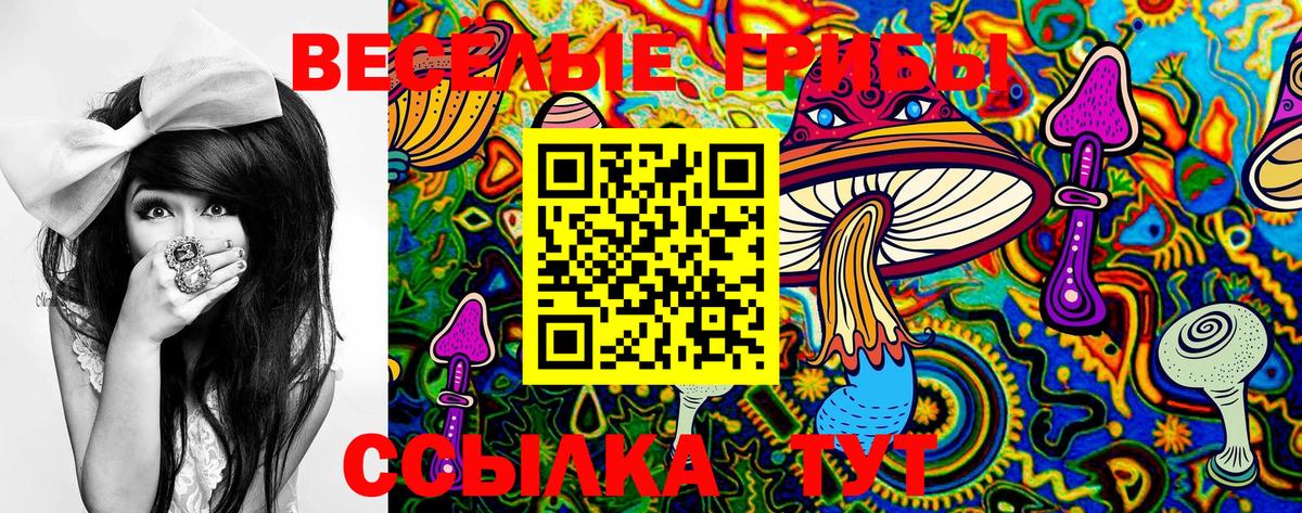 Сухой Лог  Псилоцибиновые грибы GOLDEN TEACHER  Вход с VPN 
